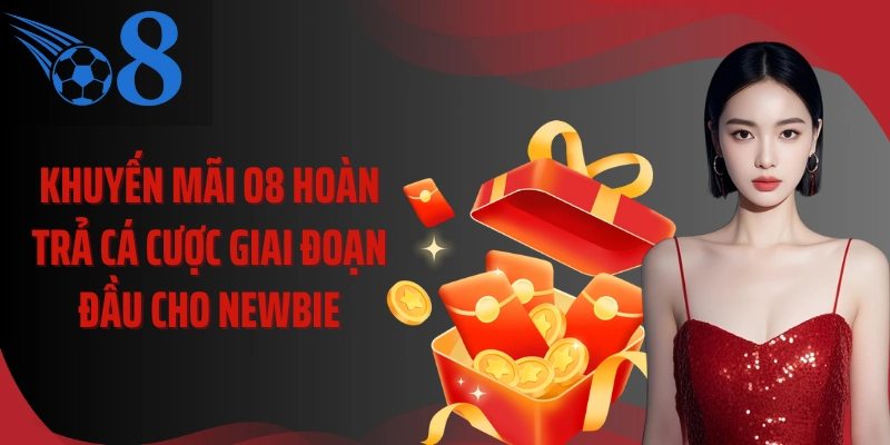Khuyến mãi O8 hoàn trả cá cược giai đoạn đầu cho newbie